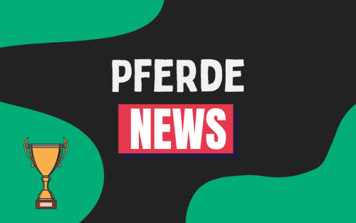 Pferderennen News Februar 2025 (Pferde100)