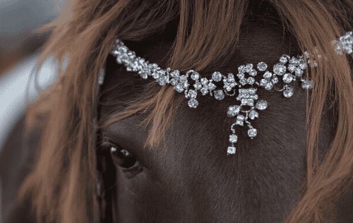 Stirnriemen Strass Test: Die 5 besten (Bestenliste)